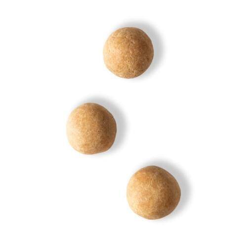 LEBLEBİ ÇITIR - 1